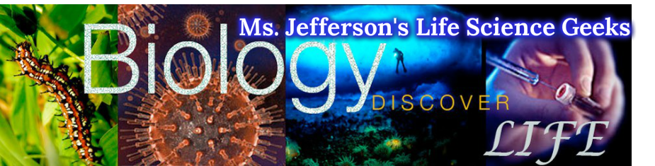 Ms. Jefferson's Super Science Geeks
